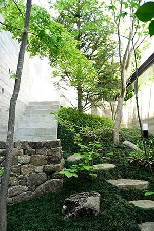Garden photos